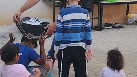 18.jpg