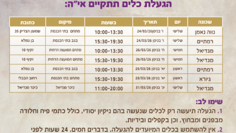 צילום מסך 2026-04-09 112858.png